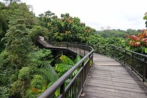 The-Hillshore-Amenities